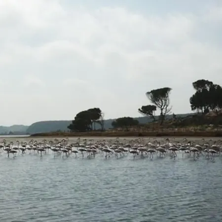 Casa Da Alegria ヴィラ