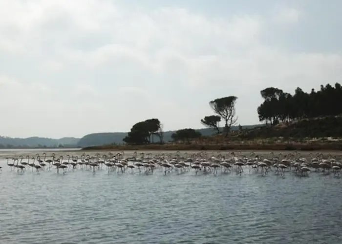 Casa Da Alegria فيلة